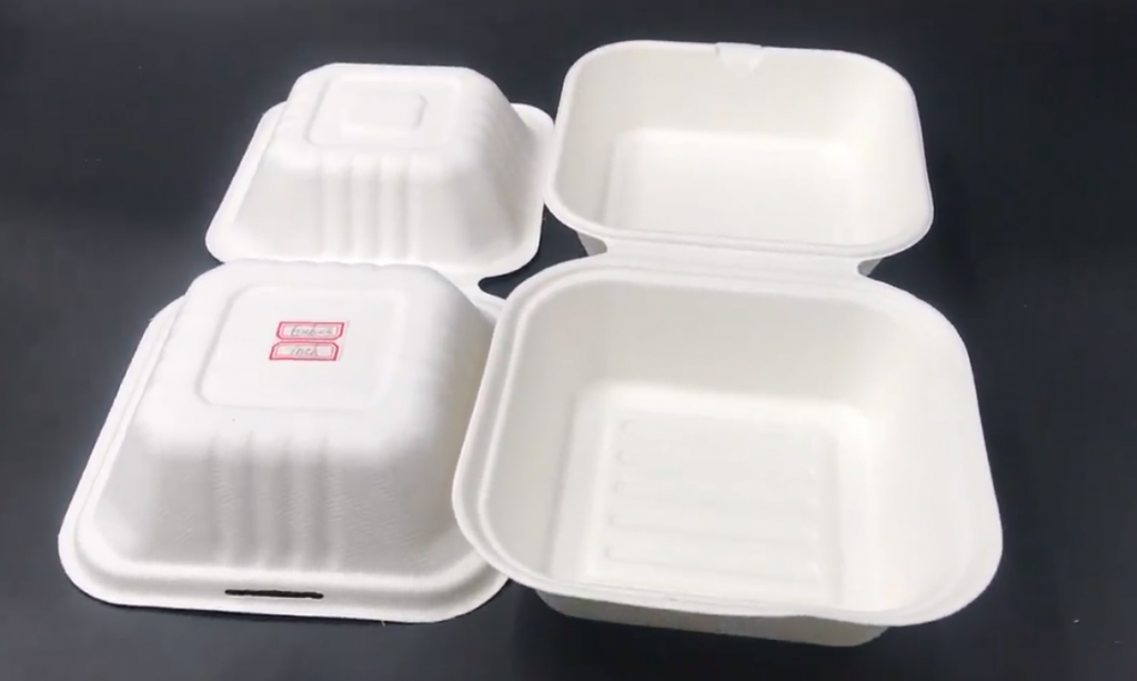 Wholesale CR Series Biodegradable Disposable Food Container